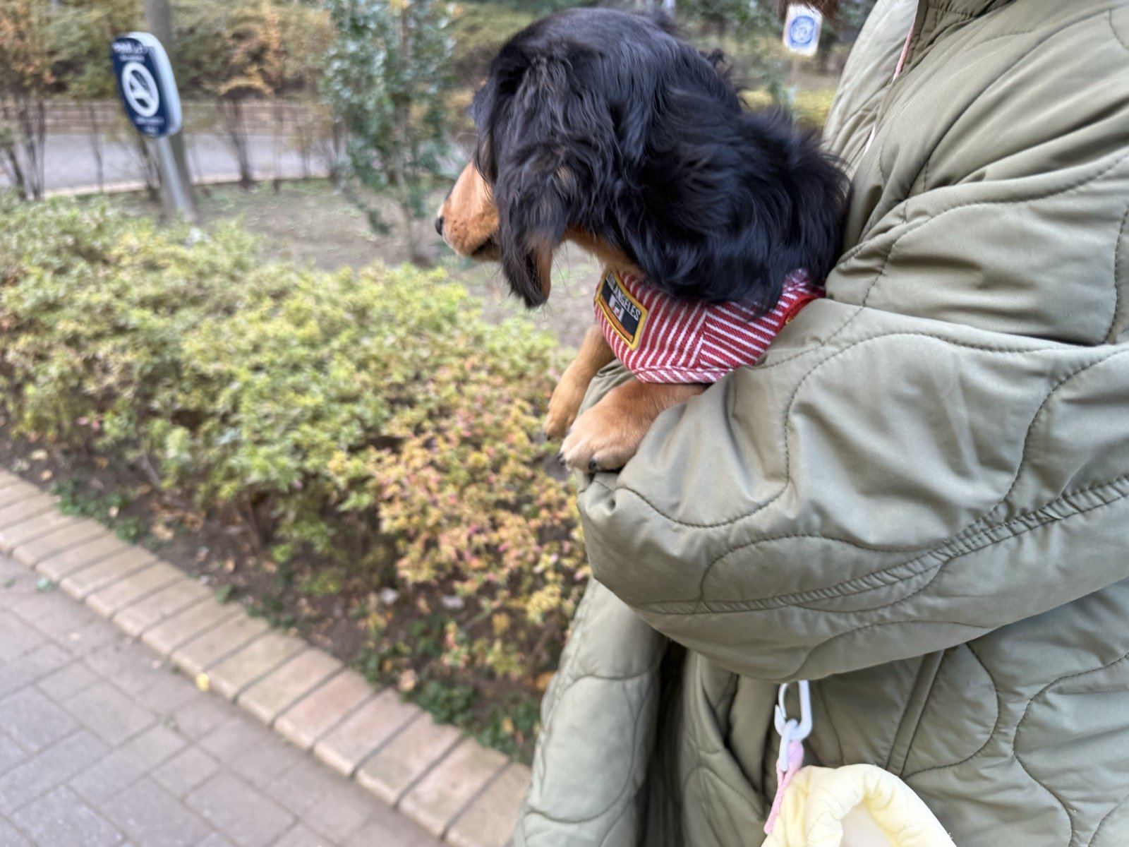 抱っこされて外を眺めるなが